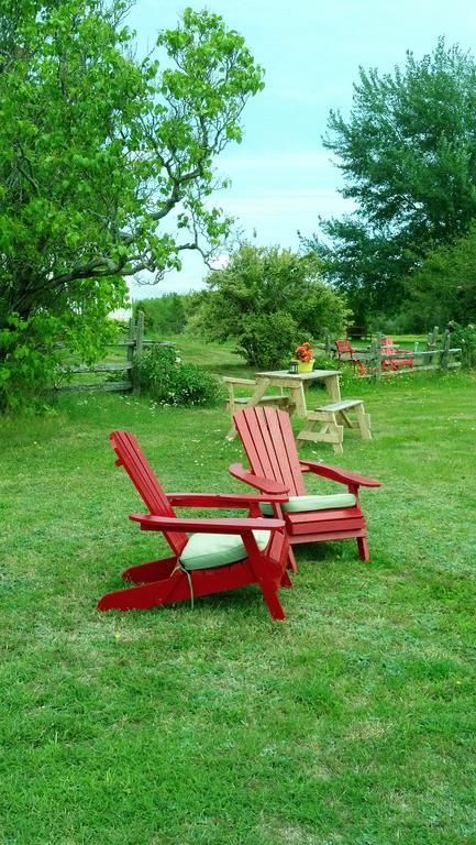 Miscouche Lovely Green Gable Home المظهر الخارجي الصورة