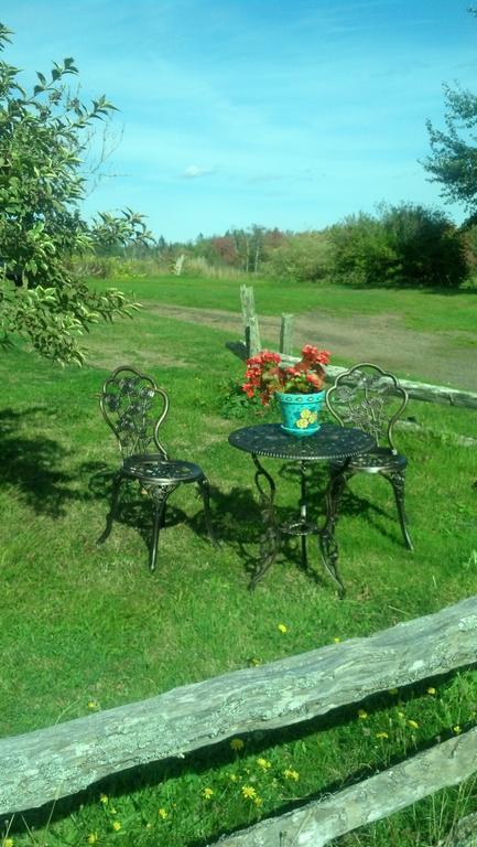 Miscouche Lovely Green Gable Home المظهر الخارجي الصورة