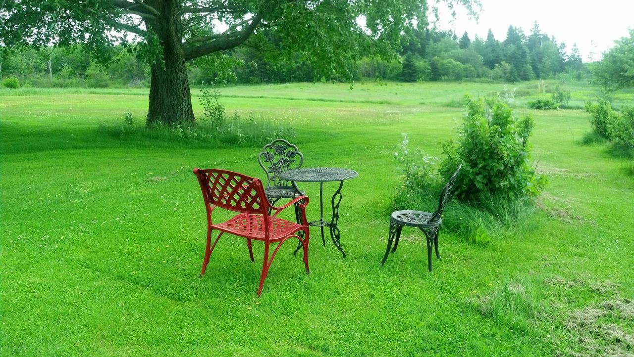 Miscouche Lovely Green Gable Home المظهر الخارجي الصورة